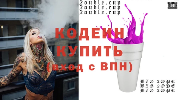 ECSTASY Бородино