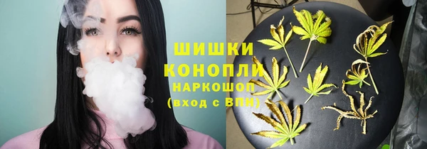 ECSTASY Бородино