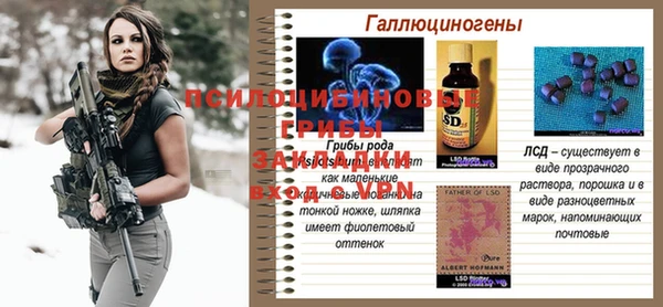 2c-b Бронницы