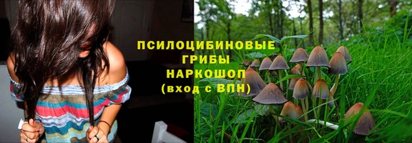 ECSTASY Бородино