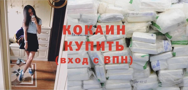 ECSTASY Бородино