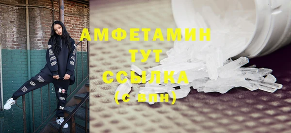 ECSTASY Бородино